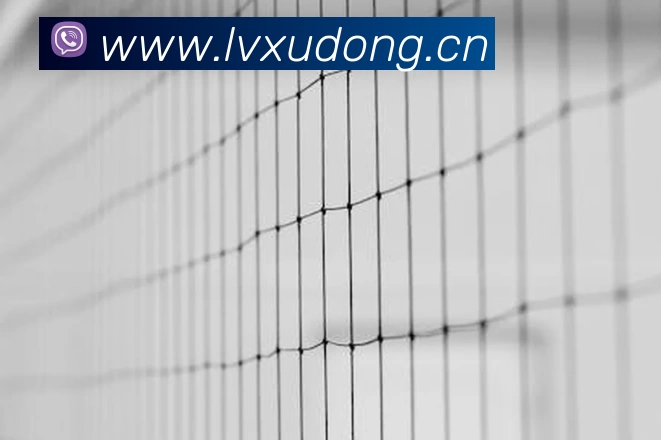 BETWAY(中文)官方网站平台生态图